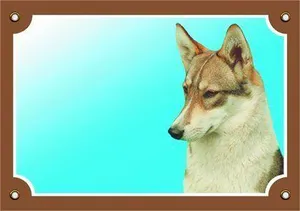Farbschild Vorsicht vor dem Hund, Westsibirische Laika